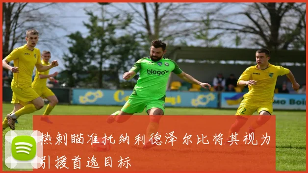 热刺瞄准托纳利德泽尔比将其视为引援首选目标